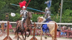 Средновековни турнири. Ролята на конете